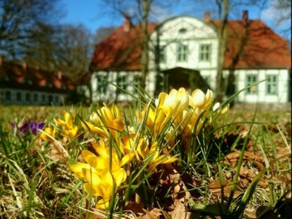 照片: Jagdschloss Friedrichsmoor